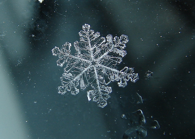 one-snowflake.jpg - 96,85 kB